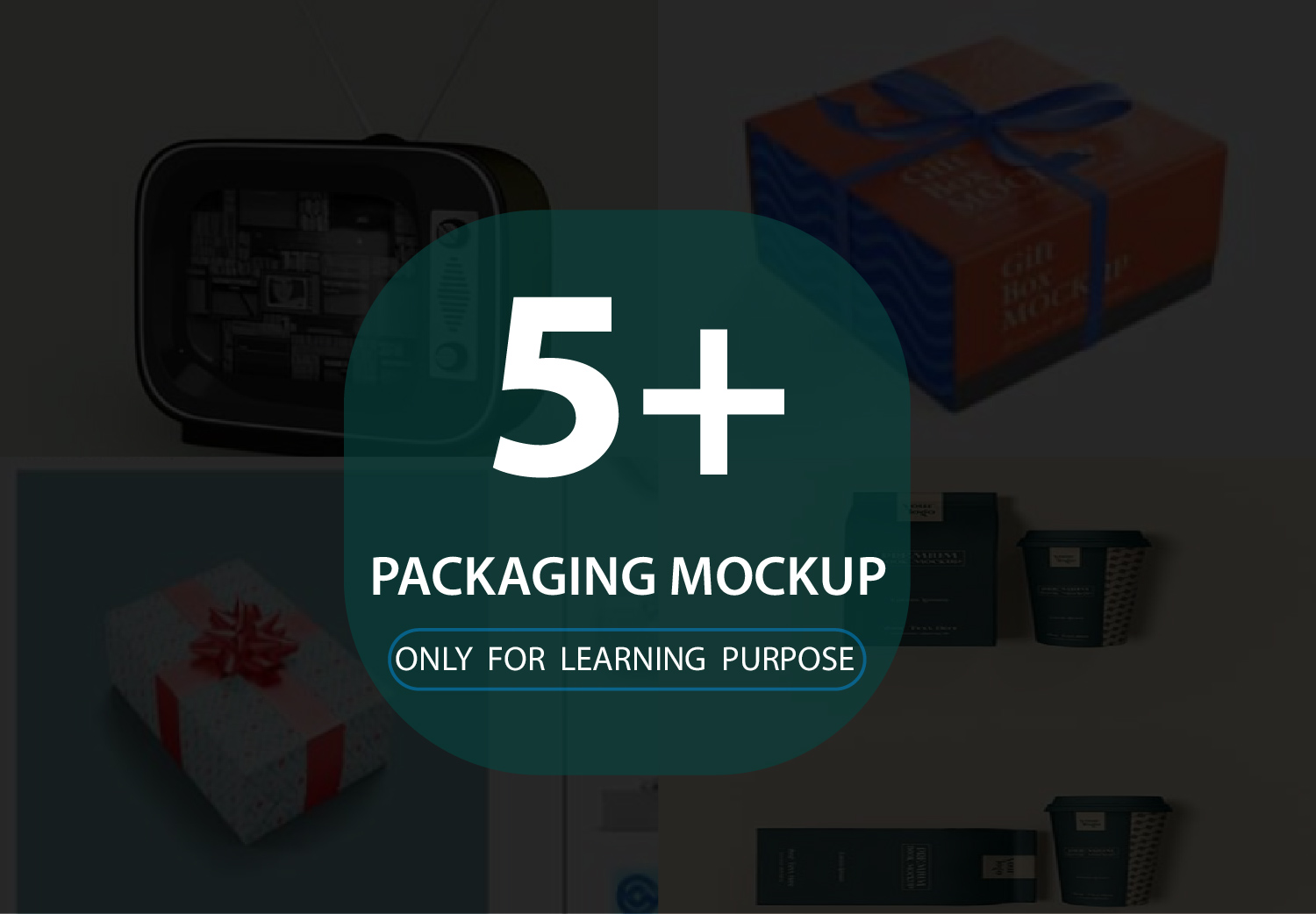 Packaging Mockup Bundle 01